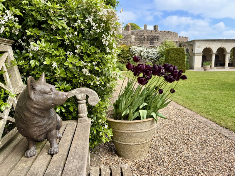 Walmer Castle